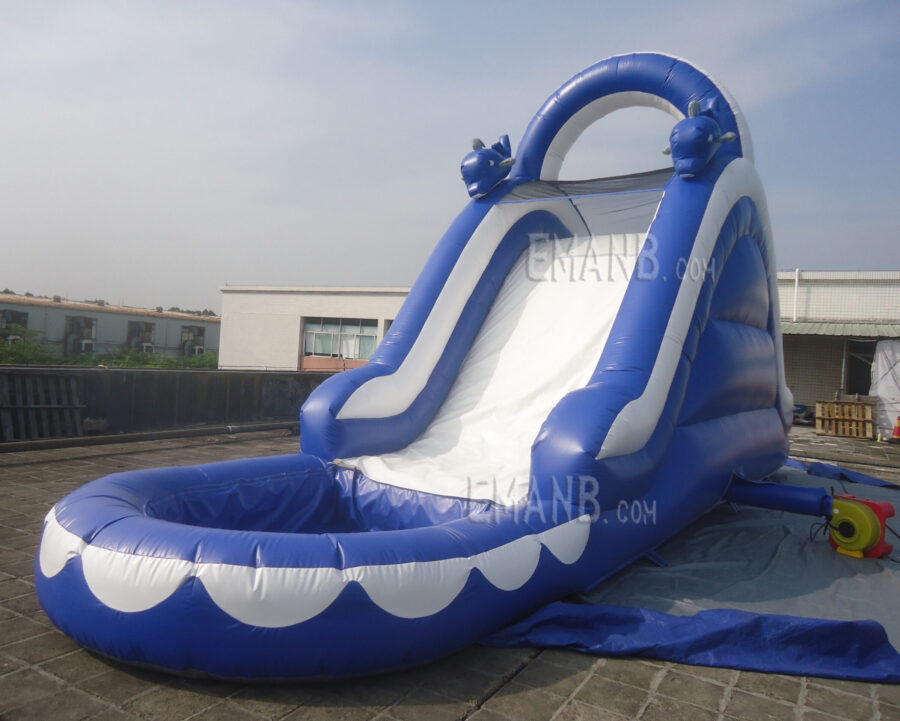 inflatable dolphin slide